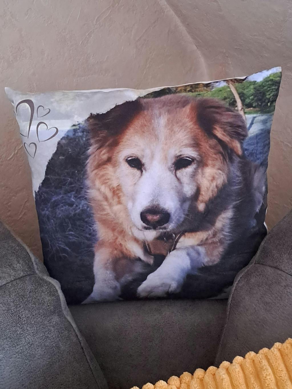 Personalisiertes Kissen -  Kissen mit deinem Liebling drauf