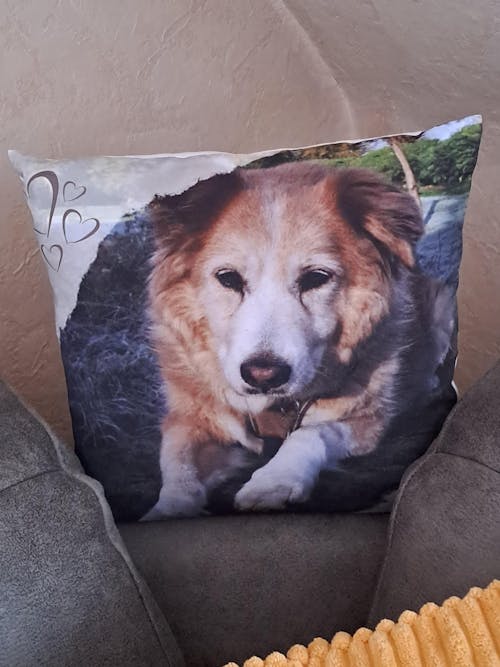 Personalisiertes Kissen -  Kissen mit deinem Liebling drauf