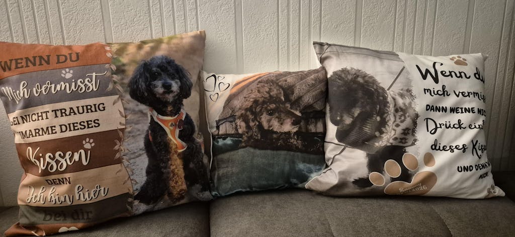 Personalisiertes Kissen -  Kissen mit deinem Liebling drauf