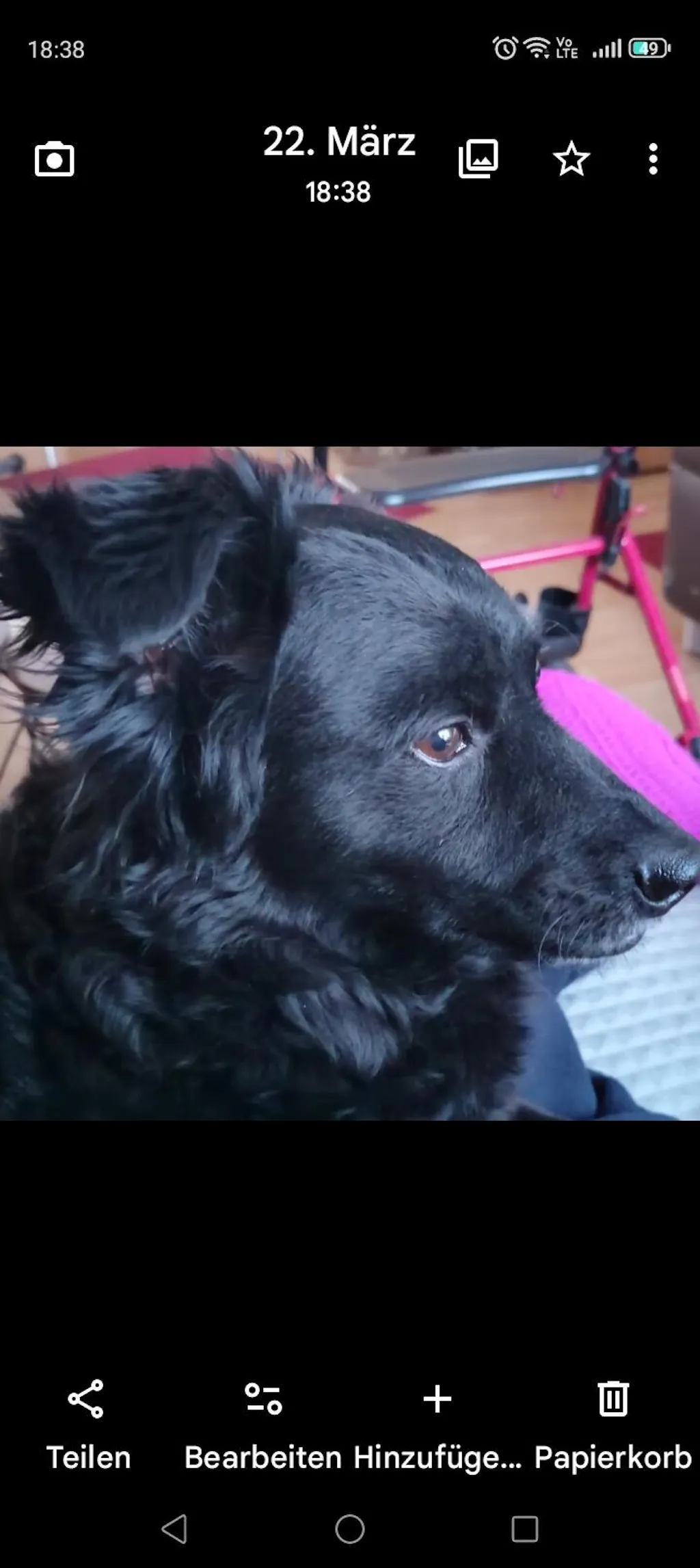 Personalisiertes Poster - "Love"