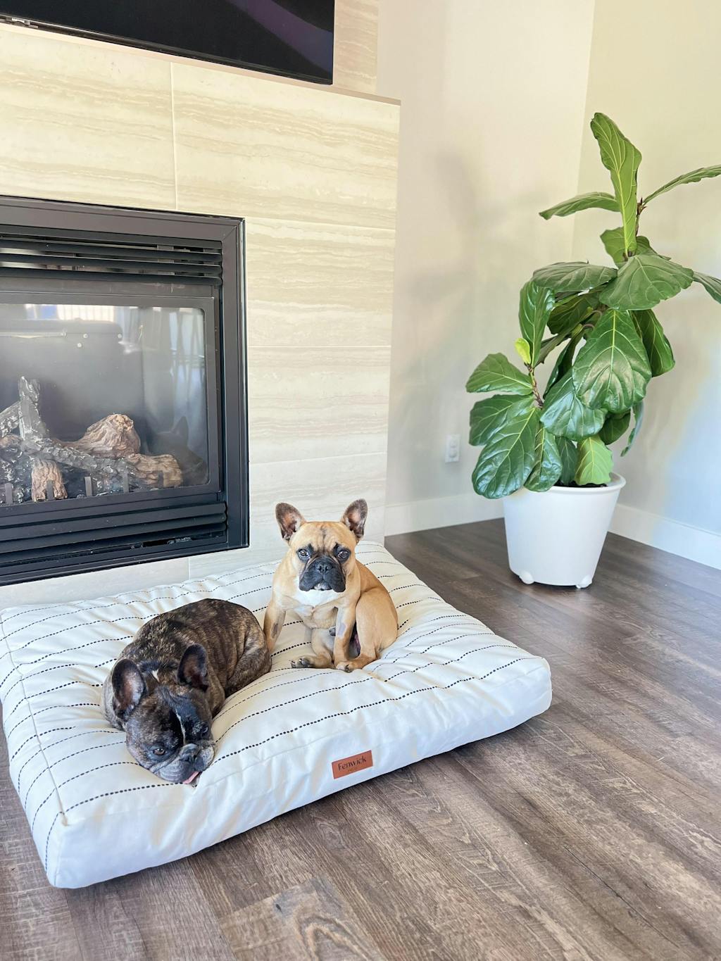 Fenwick Bed Fenwick Pet Co.