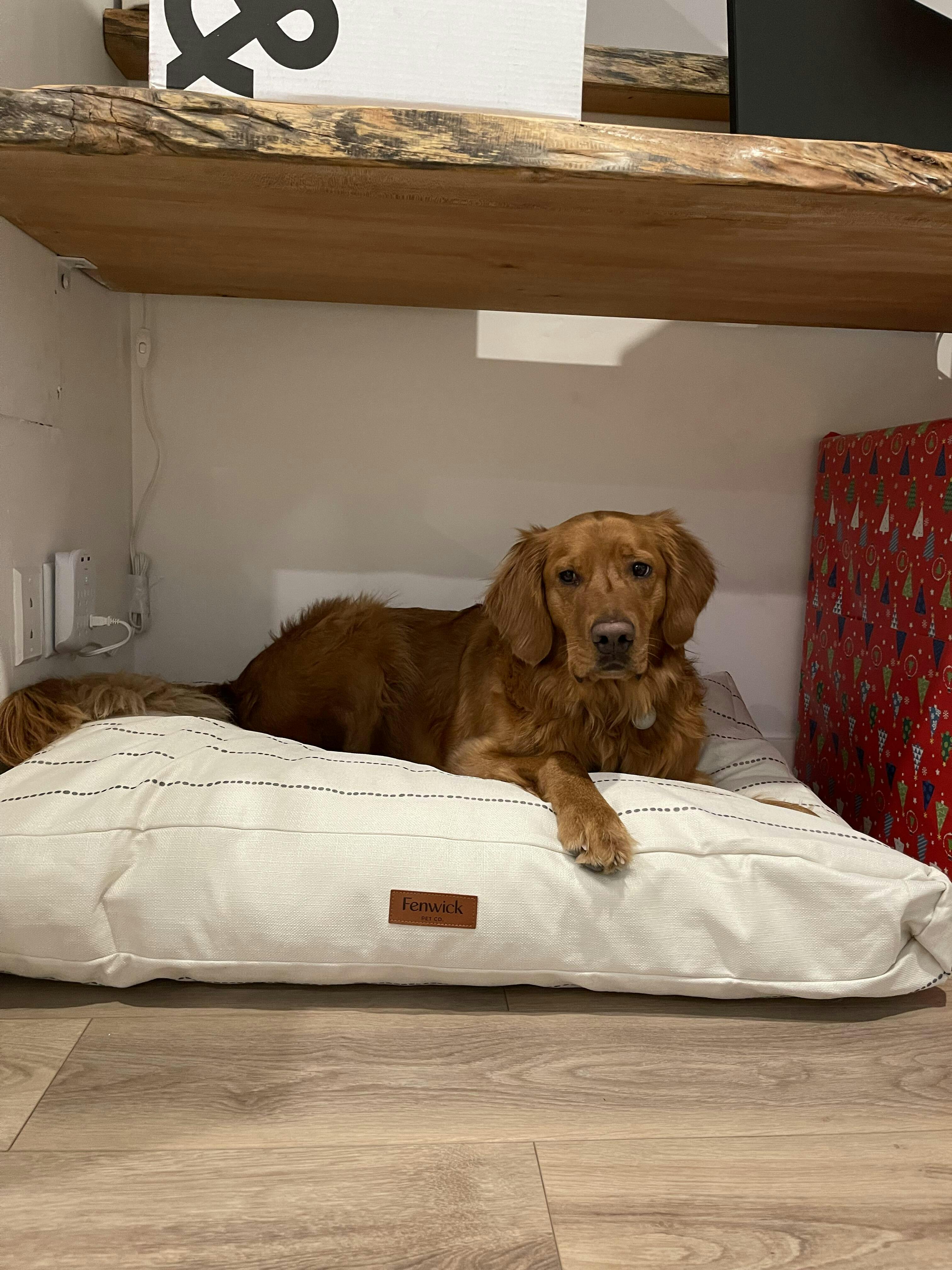 Fenwick Bed Fenwick Pet Co.