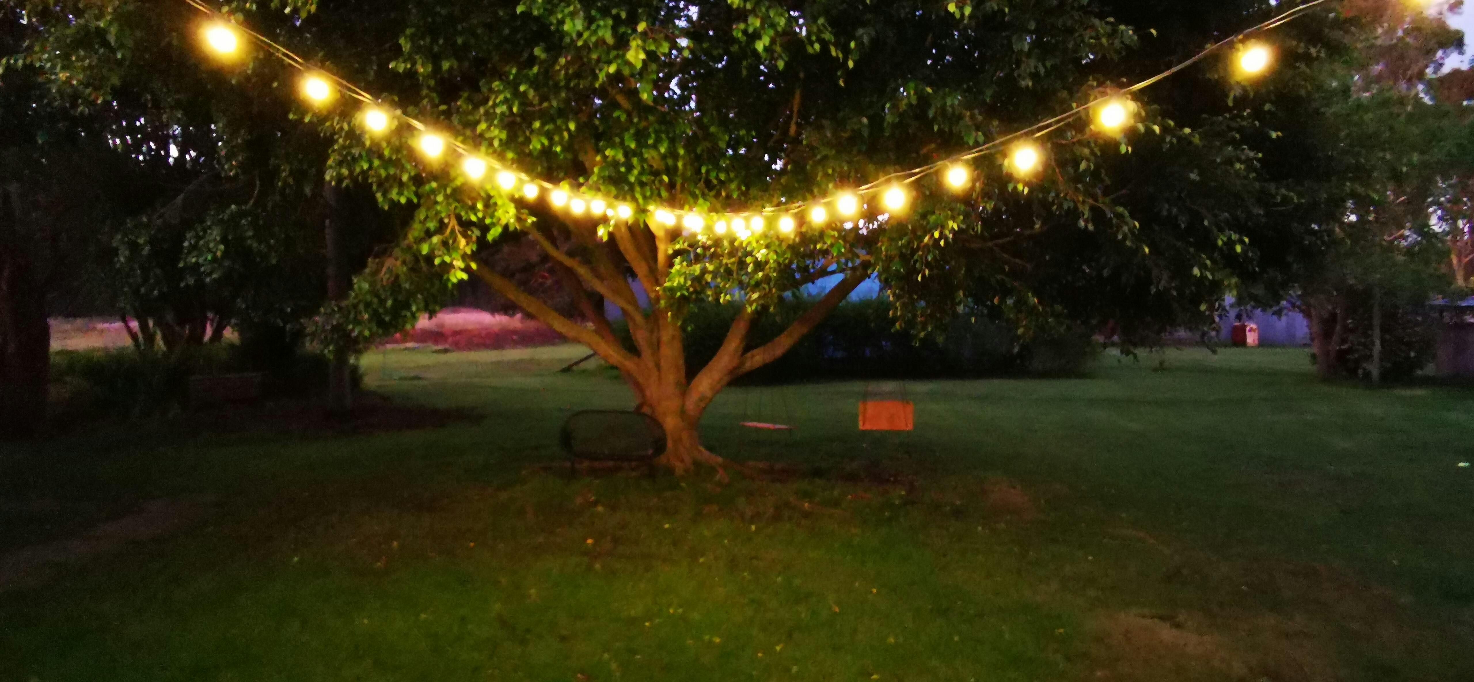 Outdoor Commercial Grade Festoon Lights X 50cm Spacing Festoon House