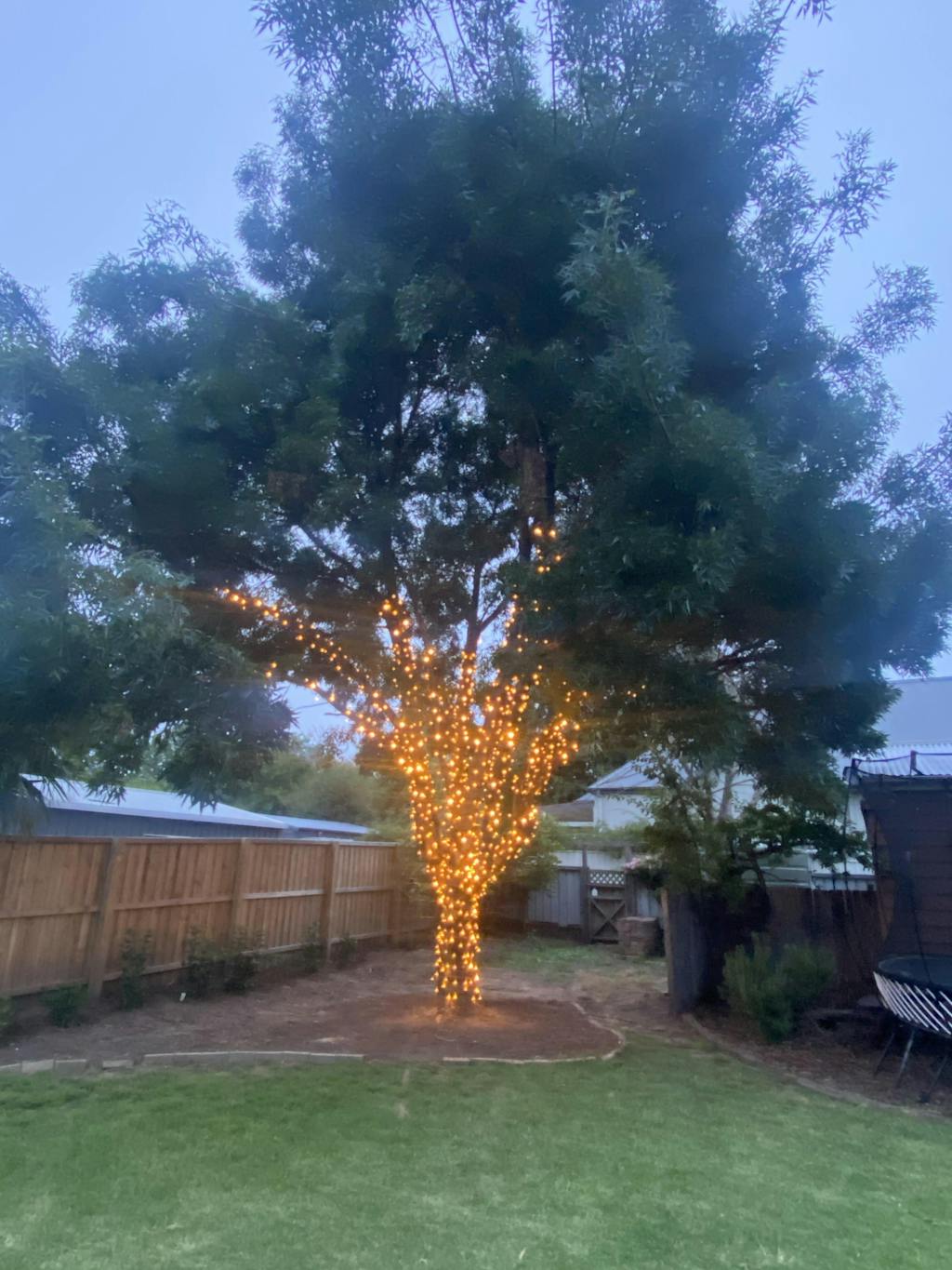 Outdoor Fairy Light Tree Kit Large Festoon House