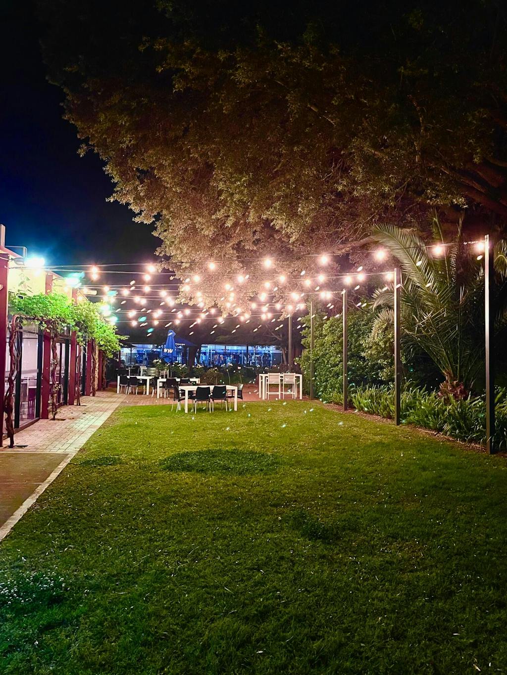 Outdoor Festoon Lights X 100cm Spacing Festoon House