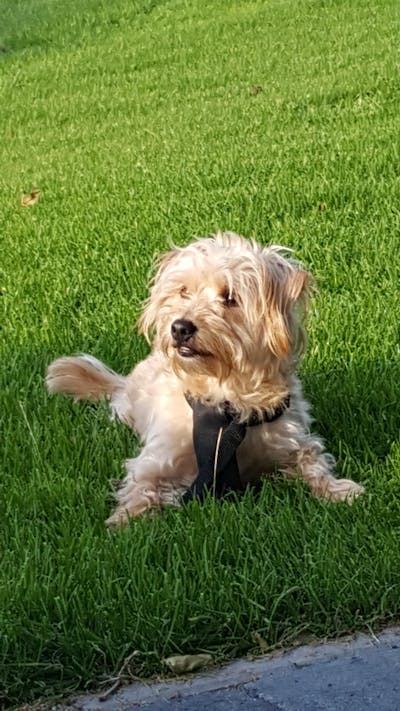 Jeuk & huid vleesvrij