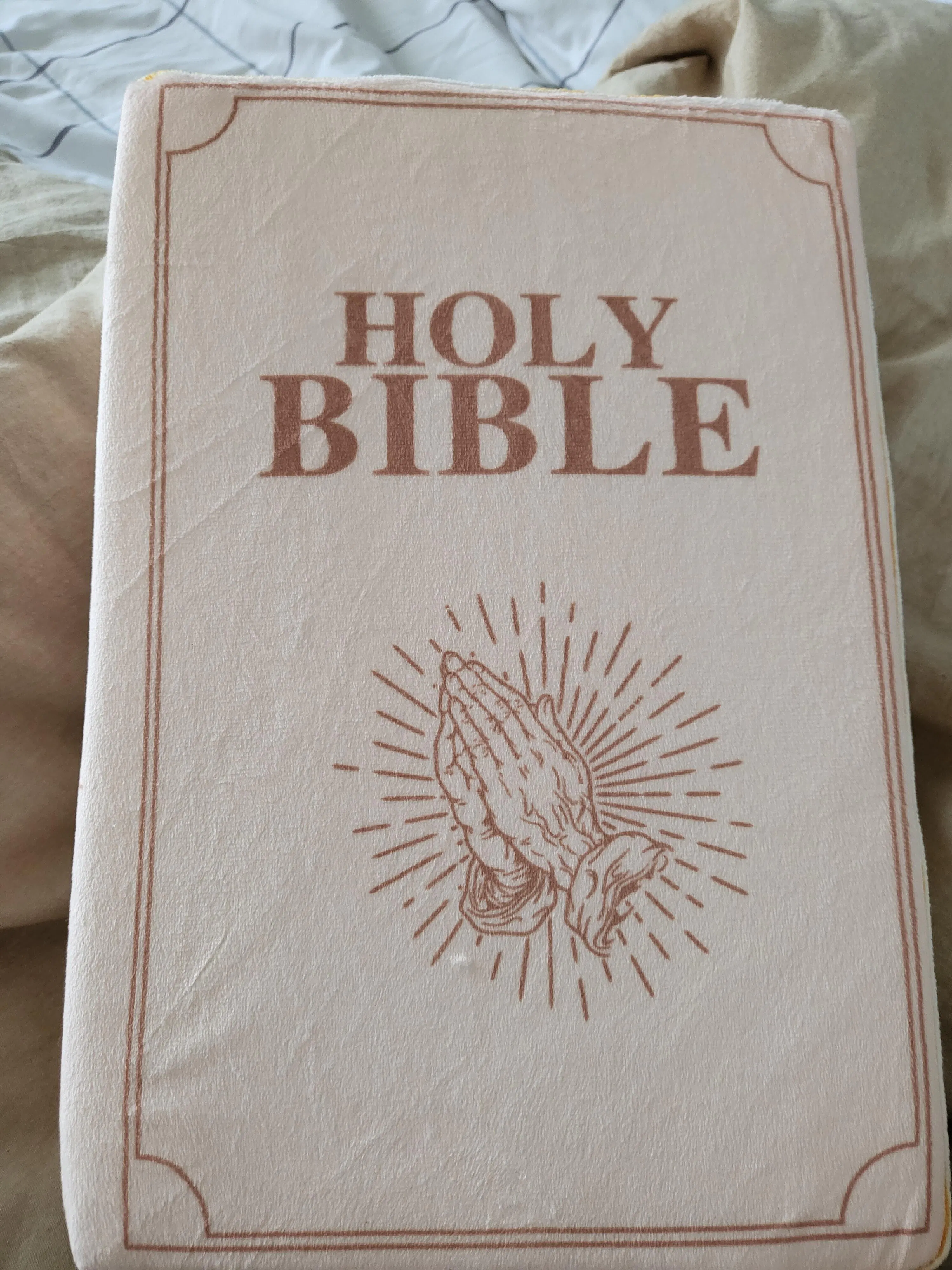 'Positive Living' Bible Pillow Fete