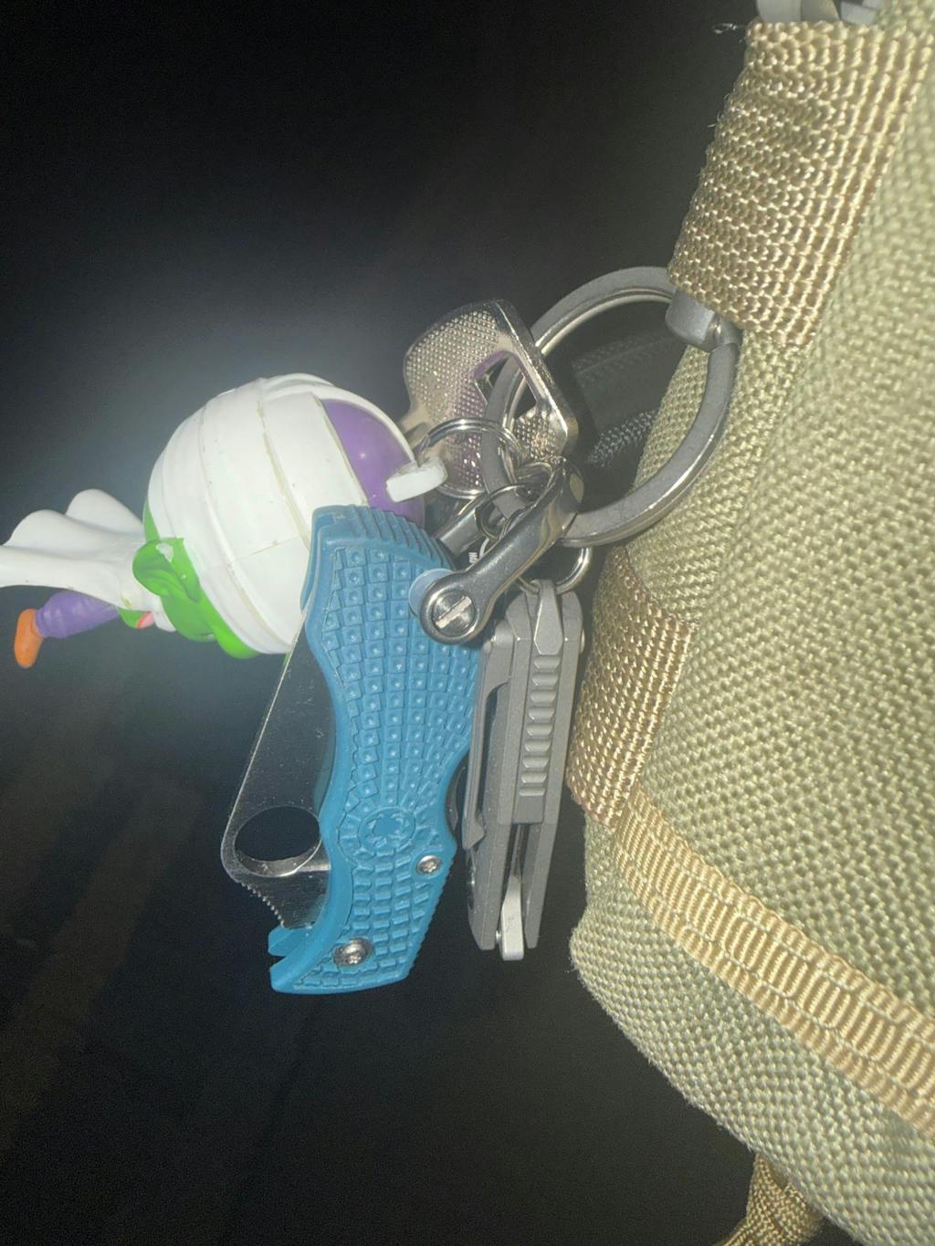 RD01 Titanium Horseshoe D-ring Key Organizer