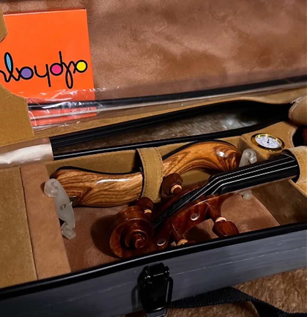 Fiddlover Intermediate Violin Outfit Q006 (Exclusive, Elegant & Unique)