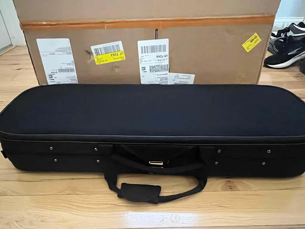 Light Oblong Violin Case CT11 Golden Button