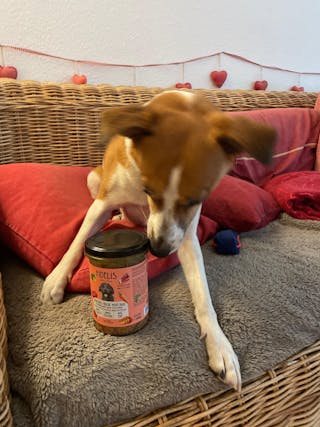 Bewertung von Evelyn Brenner