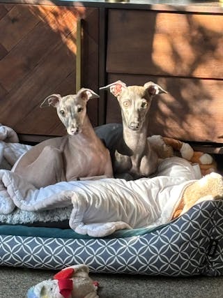 Bewertung von Oliver