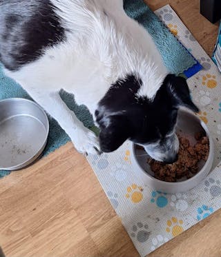 Bewertung von Nicole Franke