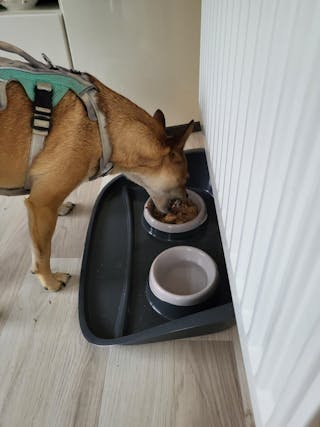 Bewertung von Katharina M. Fischer 