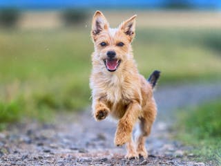 Bewertung von Robert Neureuther