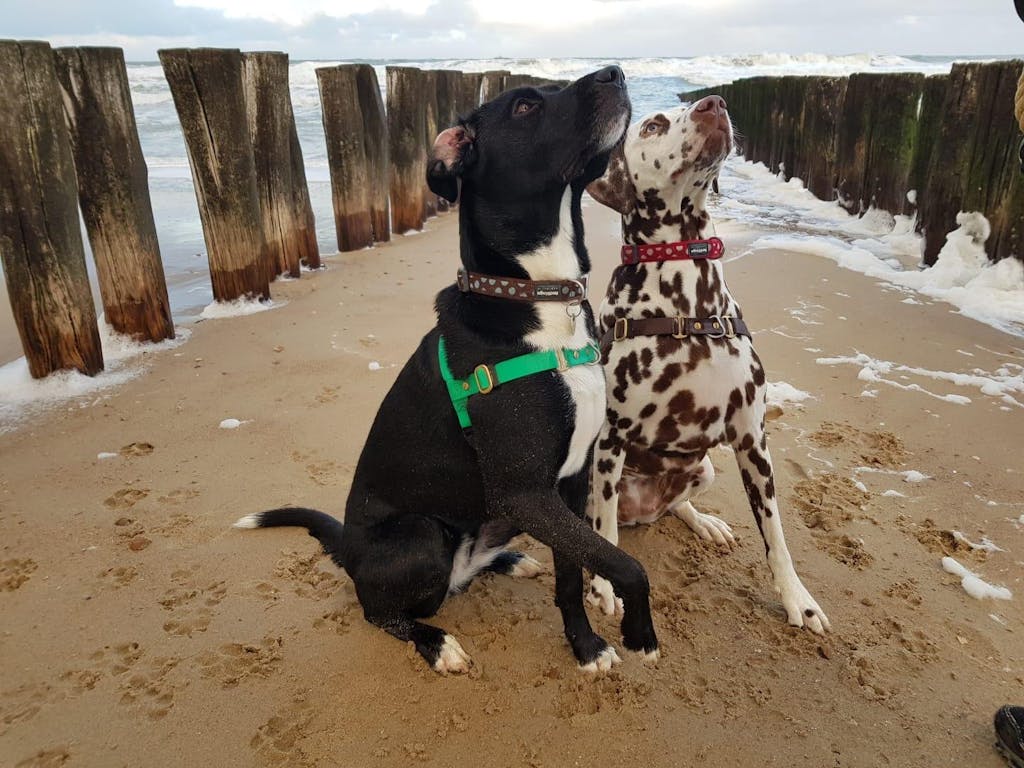 Ewa und Lotte