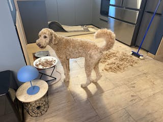 Bewertung von Daniela R.