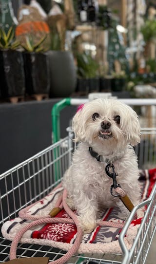 Bewertung von Maria Paier