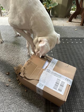 Bewertung von Vera Sülzen