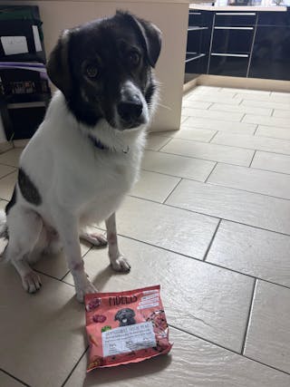 Bewertung von Bettina Gipfler