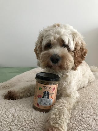 Bewertung von Susa Schauer