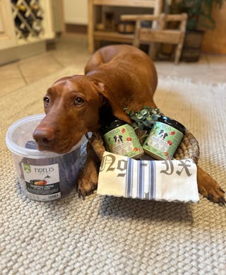 Bewertung von Annette Zimmermann