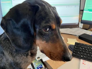 Bewertung von Anke Bettinger