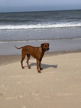 Bewertung von Carmen Mehl