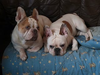 Bewertung von Martina B.