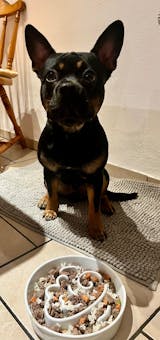 Natürlicher Welpenzusatz