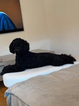 Ziege mit Karotte, Rote Beete und Pfirsich (im Glas)