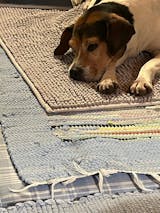 Schwein mit Buchweizen, Kürbis und Fenchel (500g) gefroren