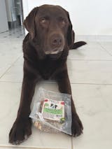 Trainingsknöchelchen Huhn (1kg-Eimer)