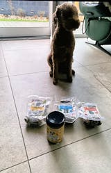 Huhn mit Süßkartoffel, Karotte und Apfel (im Glas)