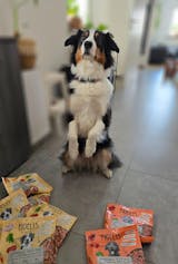 Huhn mit Reis, Zucchini und Mango (400g) gefroren