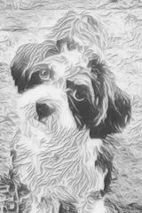 Lamm mit Süßkartoffel, Grünkohl und Apfel (im Glas)