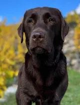 Kennenlern-Bundle: Frische Menüs im Glas (10 + 2 Gratis)