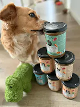 Kaninchen mit Reis, Karotte und Cranberries (im Glas)