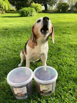 Veggie Streifen Süßkartoffel (500g-Eimer)