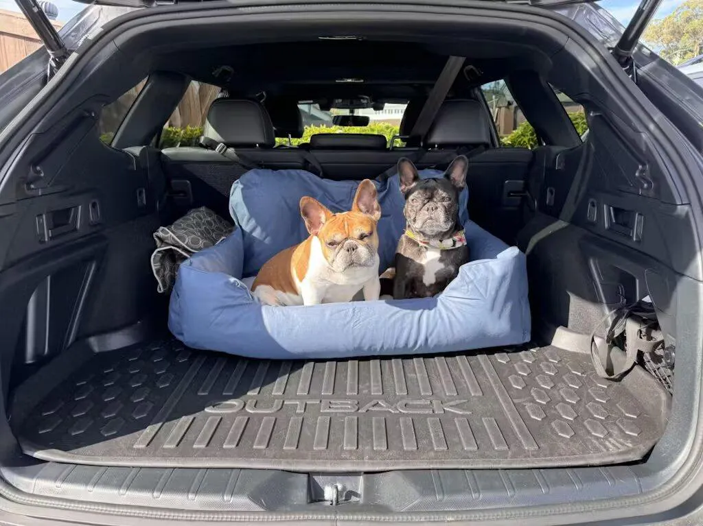 Recensione Seggiolino per Cani Impermeabile Fissato ai Sedili di Cristina B.