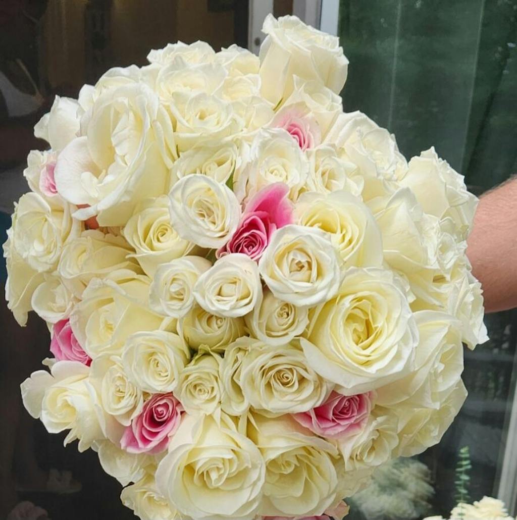 Buy Wholesale Polar Star White Rose in Bulk - FiftyFlowers