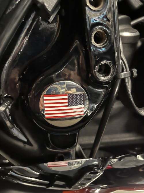 HarleyDavidson StainlessSteel / Black Custom Swing Arm Covers Americ