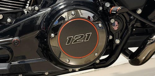 Harley-Davidson Stainless-Steel / Black Red White & Blue Flag Skull Swing Arm Covers