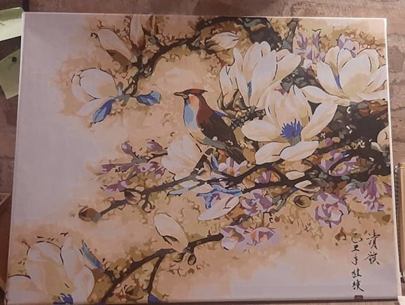 Peinture par numéro Adultes - Magnolia Peacock - taille de la photo 50x70cm  - Peinture