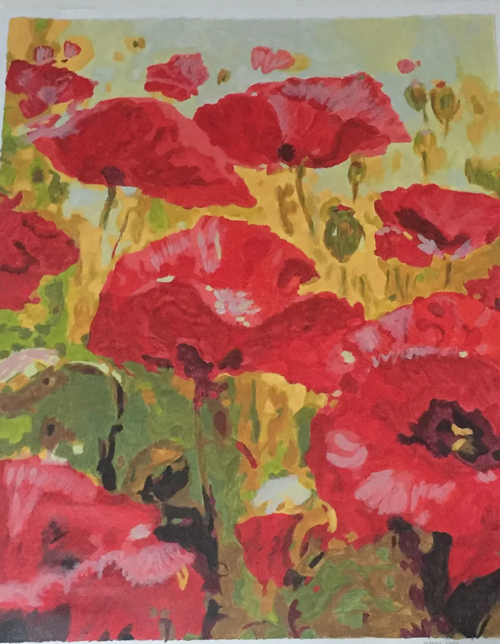 AIRDEA Papaveri Dipingere con i Numeri Adulti, Paint by Numbers con Vernici e Pennelli, Kit di Pittura Acrilica Fai-da-Te per Adulti Principianti Decora la casa 40x50 cm (Nessuna Cornice
