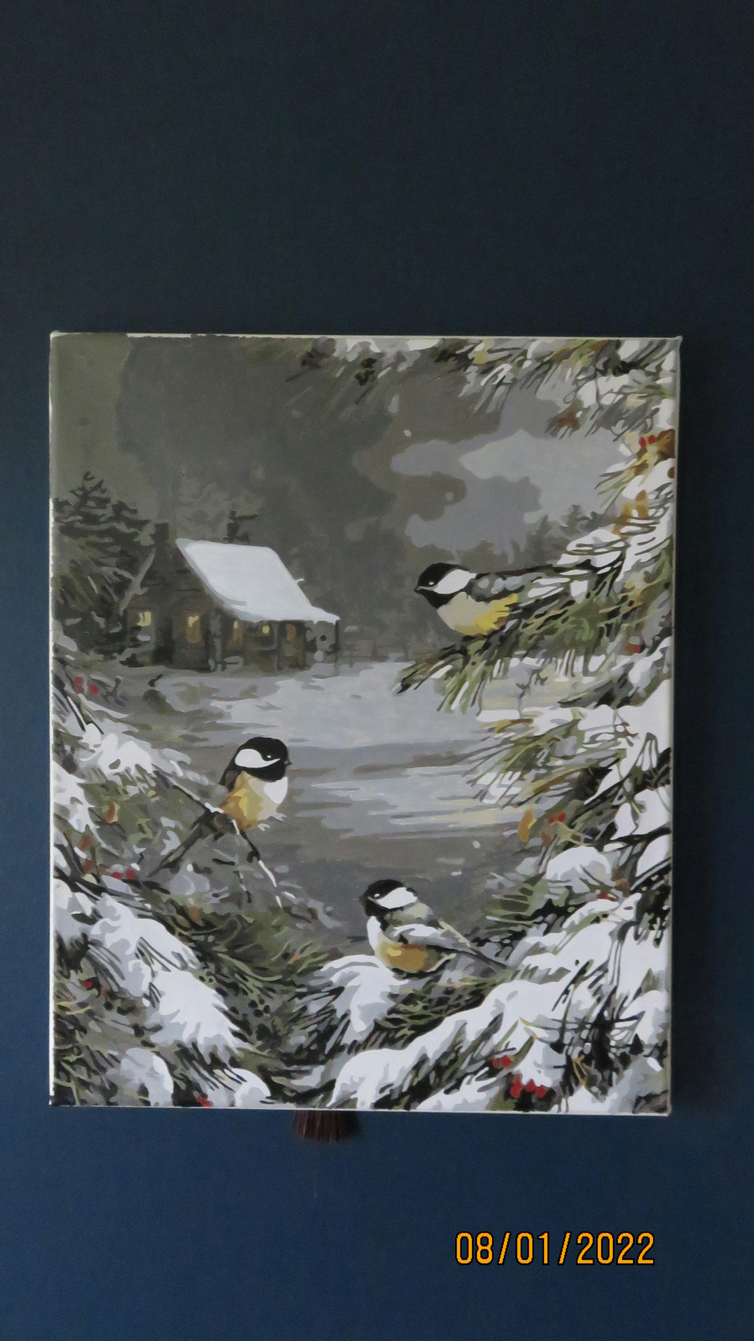 Peinture Par Numéro Adulte Oiseau De Neige Diy Adulte Peint À La