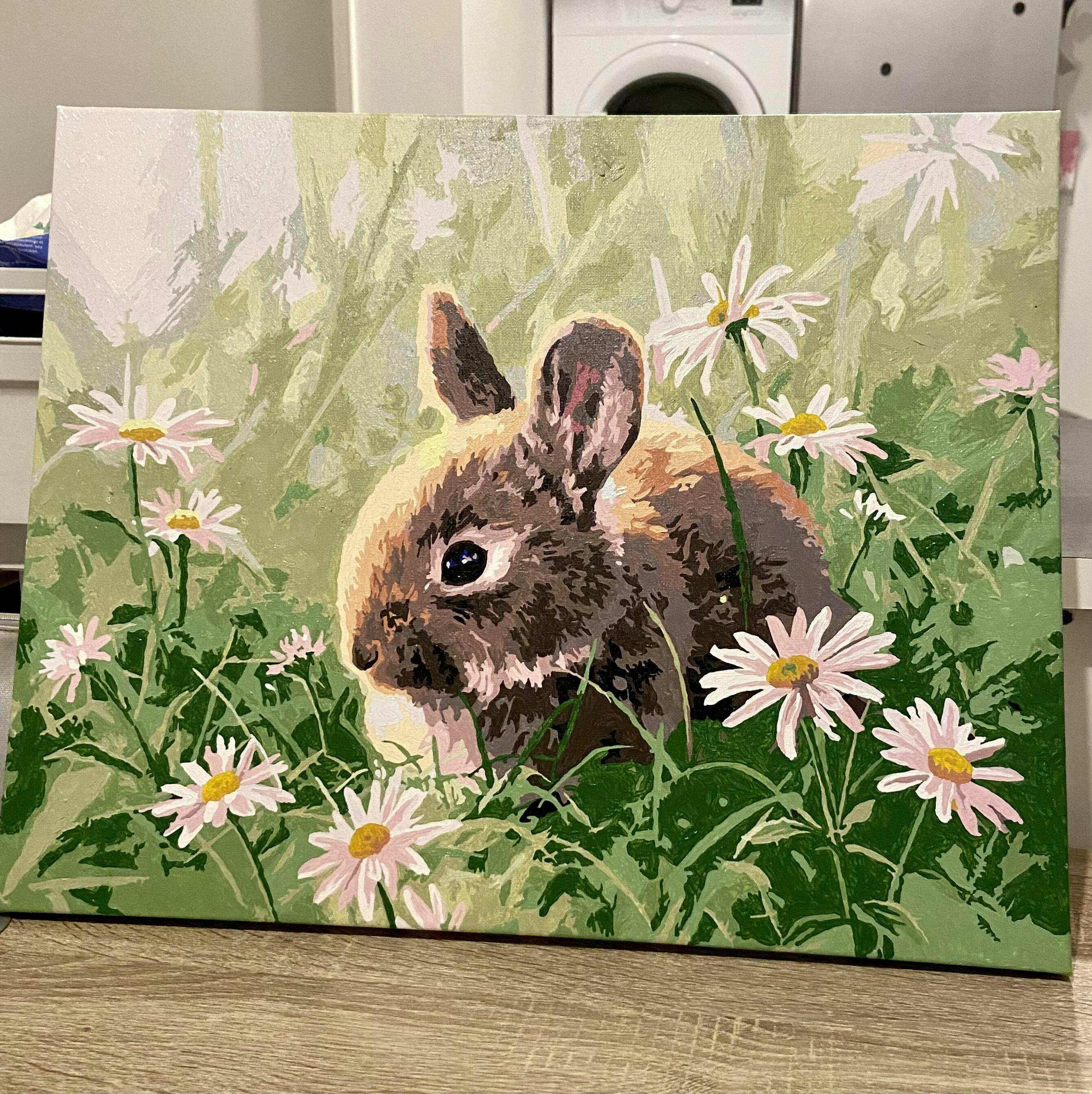 Paint By Numbers - Rabbit And Oxeye Daisy – Figured'art