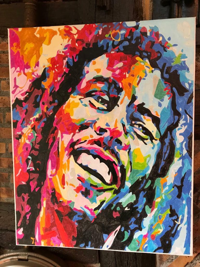 PEINTURE par NUMÉRO Kit Adulte, Bob Marley Abstrait Multicolore
