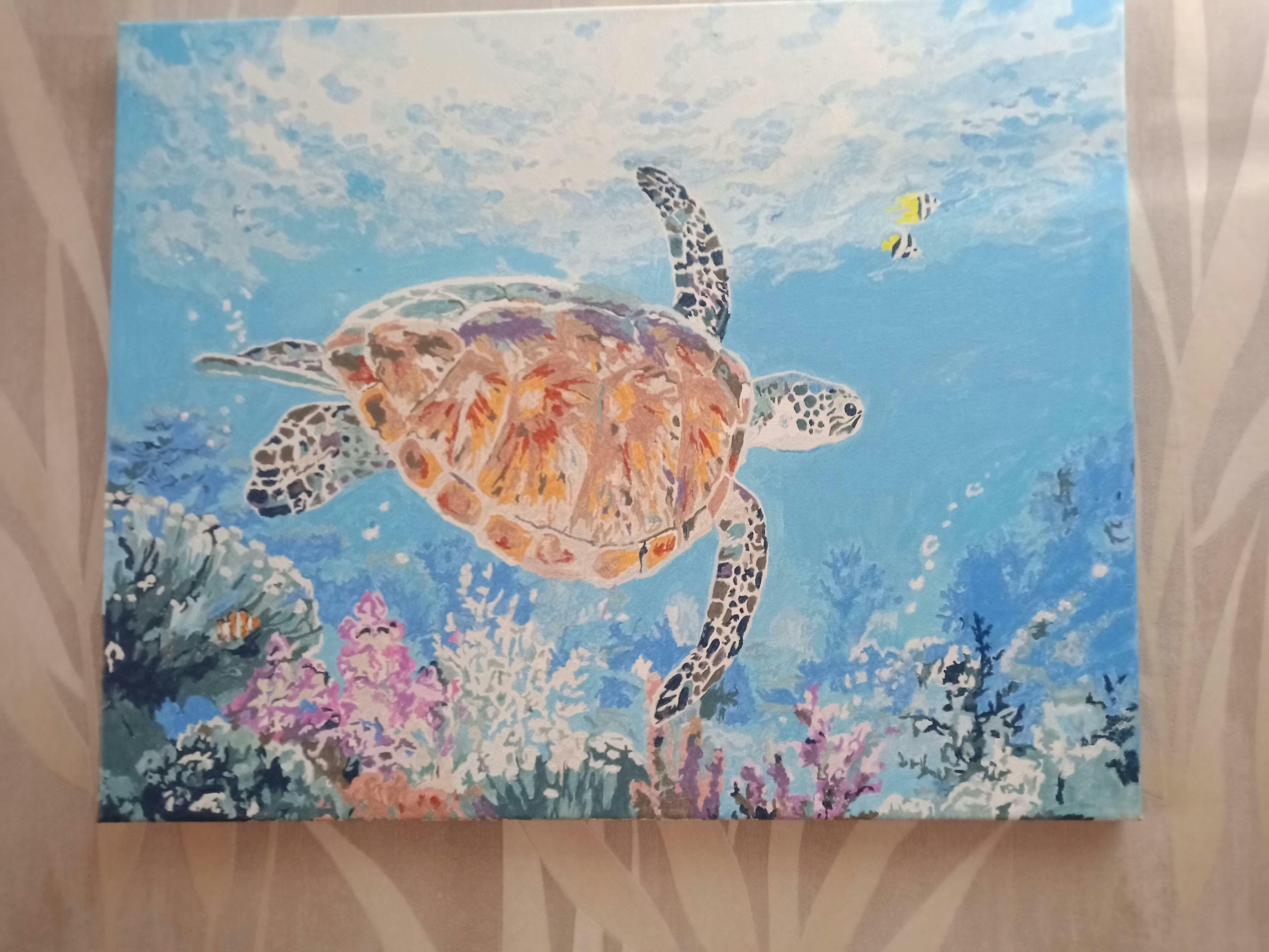 Paint by numbers Turtle Figured'Art