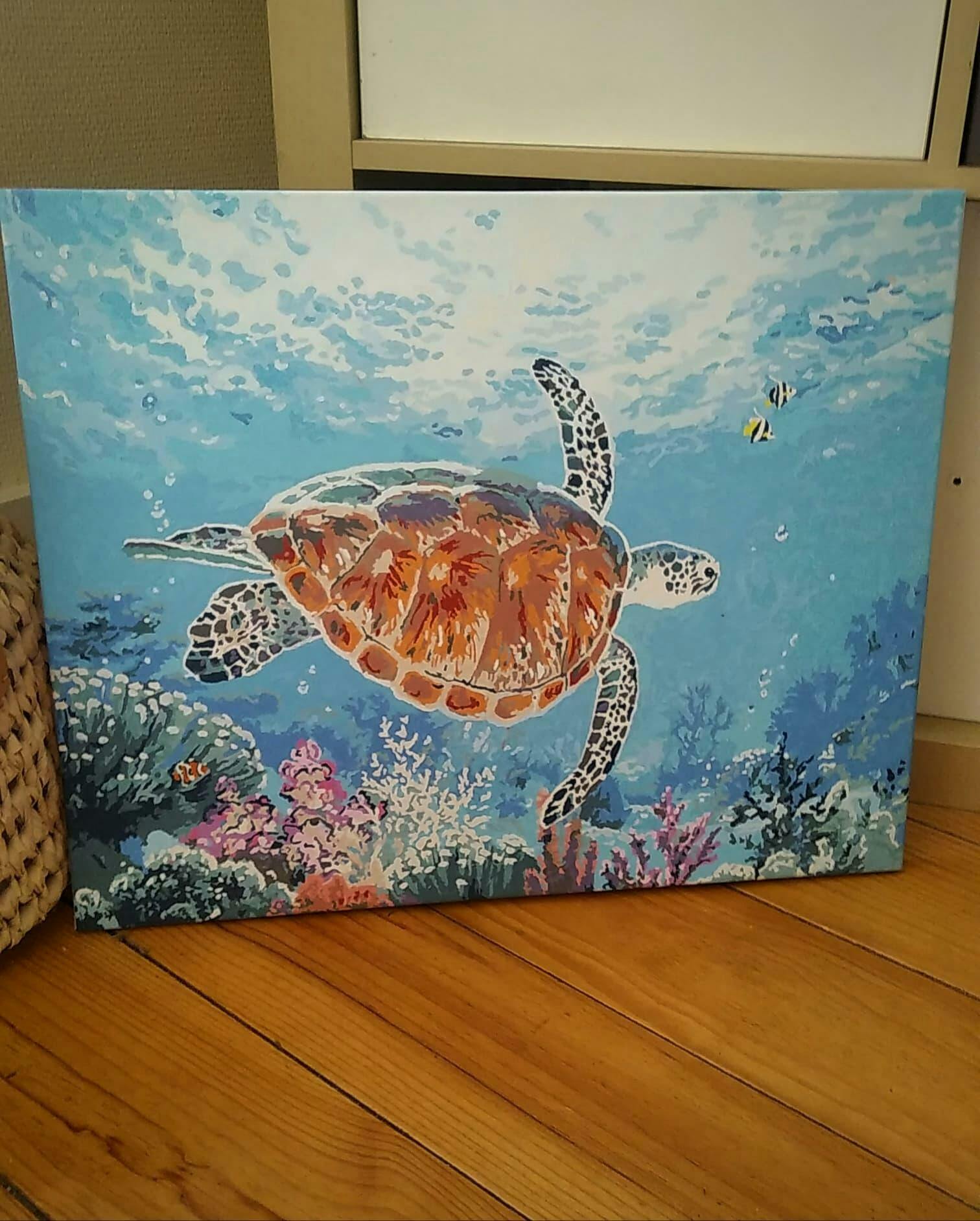 Paint by numbers Turtle Figured'Art